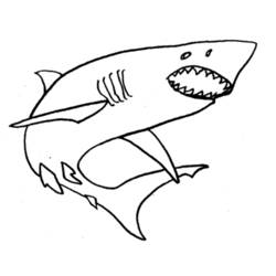 Раскраска: акула (Животные) #14911 - Раскраски для печати