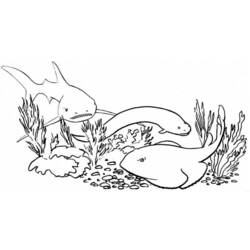 Раскраска: акула (Животные) #14912 - Бесплатные раскраски для печати