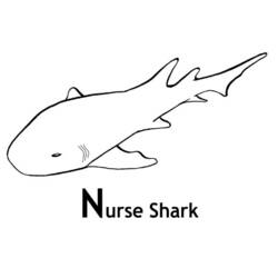 Раскраска: акула (Животные) #14914 - Бесплатные раскраски для печати