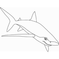 Раскраска: акула (Животные) #14917 - Раскраски для печати