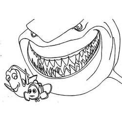Раскраска: акула (Животные) #14931 - Раскраски для печати
