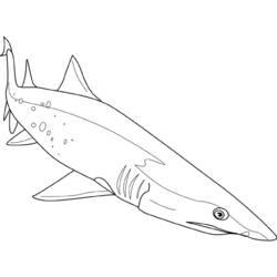 Раскраска: акула (Животные) #14949 - Бесплатные раскраски для печати