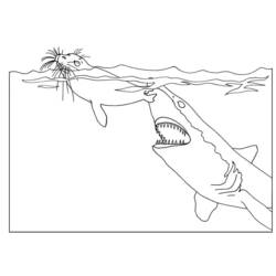 Раскраска: акула (Животные) #14951 - Раскраски для печати