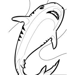 Раскраска: акула (Животные) #14955 - Бесплатные раскраски для печати