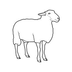 Раскраска: овца (Животные) #11390 - Раскраски для печати