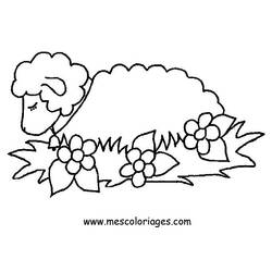 Раскраска: овца (Животные) #11391 - Раскраски для печати