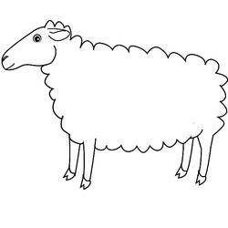 Раскраска: овца (Животные) #11402 - Раскраски для печати