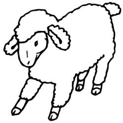 Раскраска: овца (Животные) #11406 - Раскраски для печати
