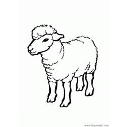Раскраска: овца (Животные) #11409 - Раскраски для печати