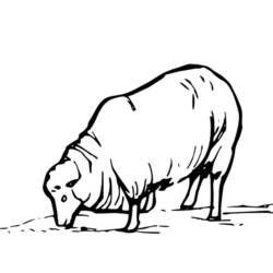 Раскраска: овца (Животные) #11410 - Раскраски для печати