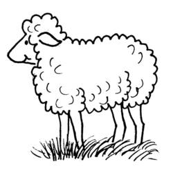 Раскраска: овца (Животные) #11412 - Раскраски для печати