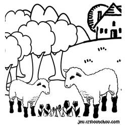 Раскраска: овца (Животные) #11416 - Раскраски для печати