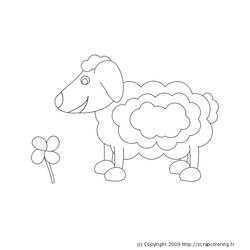 Раскраска: овца (Животные) #11433 - Бесплатные раскраски для печати