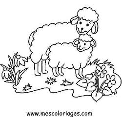 Раскраска: овца (Животные) #11436 - Раскраски для печати