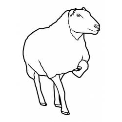 Раскраска: овца (Животные) #11460 - Бесплатные раскраски для печати