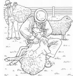 Раскраска: овца (Животные) #11461 - Бесплатные раскраски для печати
