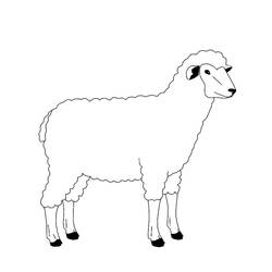 Раскраска: овца (Животные) #11471 - Раскраски для печати