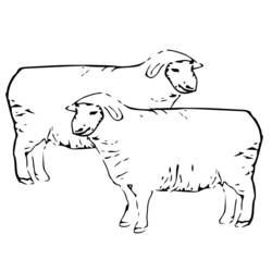 Раскраска: овца (Животные) #11476 - Раскраски для печати