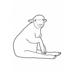 Раскраска: овца (Животные) #11492 - Бесплатные раскраски для печати