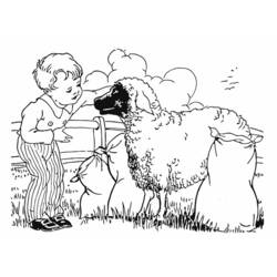 Раскраска: овца (Животные) #11495 - Бесплатные раскраски для печати