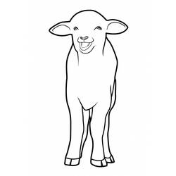 Раскраска: овца (Животные) #11496 - Бесплатные раскраски для печати