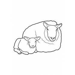 Раскраска: овца (Животные) #11521 - Бесплатные раскраски для печати
