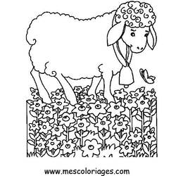 Раскраска: овца (Животные) #11533 - Бесплатные раскраски для печати