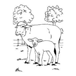Раскраска: овца (Животные) #11544 - Раскраски для печати