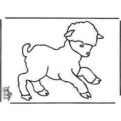 Раскраска: овца (Животные) #11559 - Бесплатные раскраски для печати