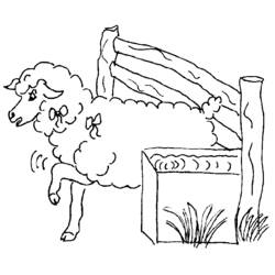 Раскраска: овца (Животные) #11577 - Бесплатные раскраски для печати