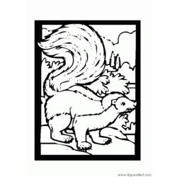 Раскраска: скунс (Животные) #11290 - Раскраски для печати