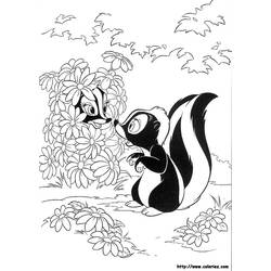 Раскраска: скунс (Животные) #11295 - Раскраски для печати
