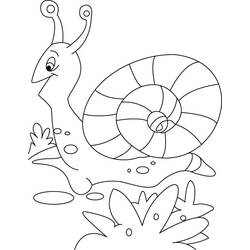 Раскраска: улитка (Животные) #6590 - Бесплатные раскраски для печати