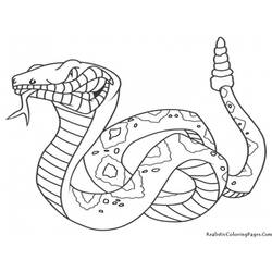 Раскраска: змея (Животные) #14342 - Раскраски для печати