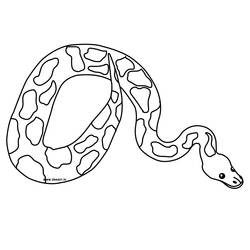 Раскраска: змея (Животные) #14352 - Раскраски для печати