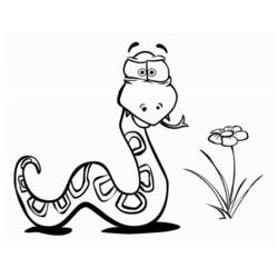 Раскраска: змея (Животные) #14356 - Раскраски для печати
