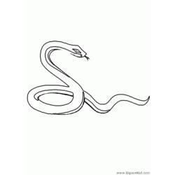 Раскраска: змея (Животные) #14365 - Раскраски для печати