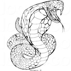 Раскраска: змея (Животные) #14388 - Раскраски для печати