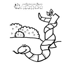 Раскраска: змея (Животные) #14396 - Бесплатные раскраски для печати