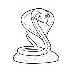 Раскраска: змея (Животные) #14397 - Раскраски для печати
