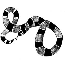 Раскраска: змея (Животные) #14426 - Раскраски для печати