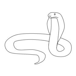 Раскраска: змея (Животные) #14475 - Раскраски для печати