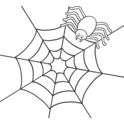 Раскраска: паук (Животные) #578 - Раскраски для печати