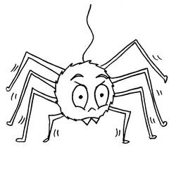 Раскраска: паук (Животные) #585 - Раскраски для печати