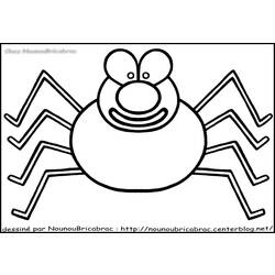 Раскраска: паук (Животные) #592 - Раскраски для печати