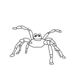Раскраска: паук (Животные) #611 - Раскраски для печати