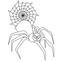 Раскраска: паук (Животные) #630 - Раскраски для печати