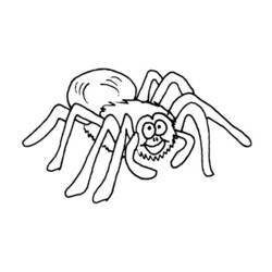 Раскраска: паук (Животные) #656 - Раскраски для печати