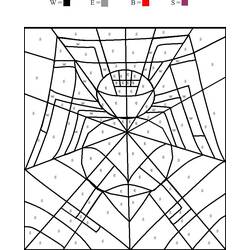 Раскраска: паук (Животные) #658 - Бесплатные раскраски для печати