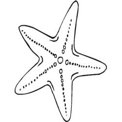 Раскраска: морская звезда (Животные) #6700 - Раскраски для печати